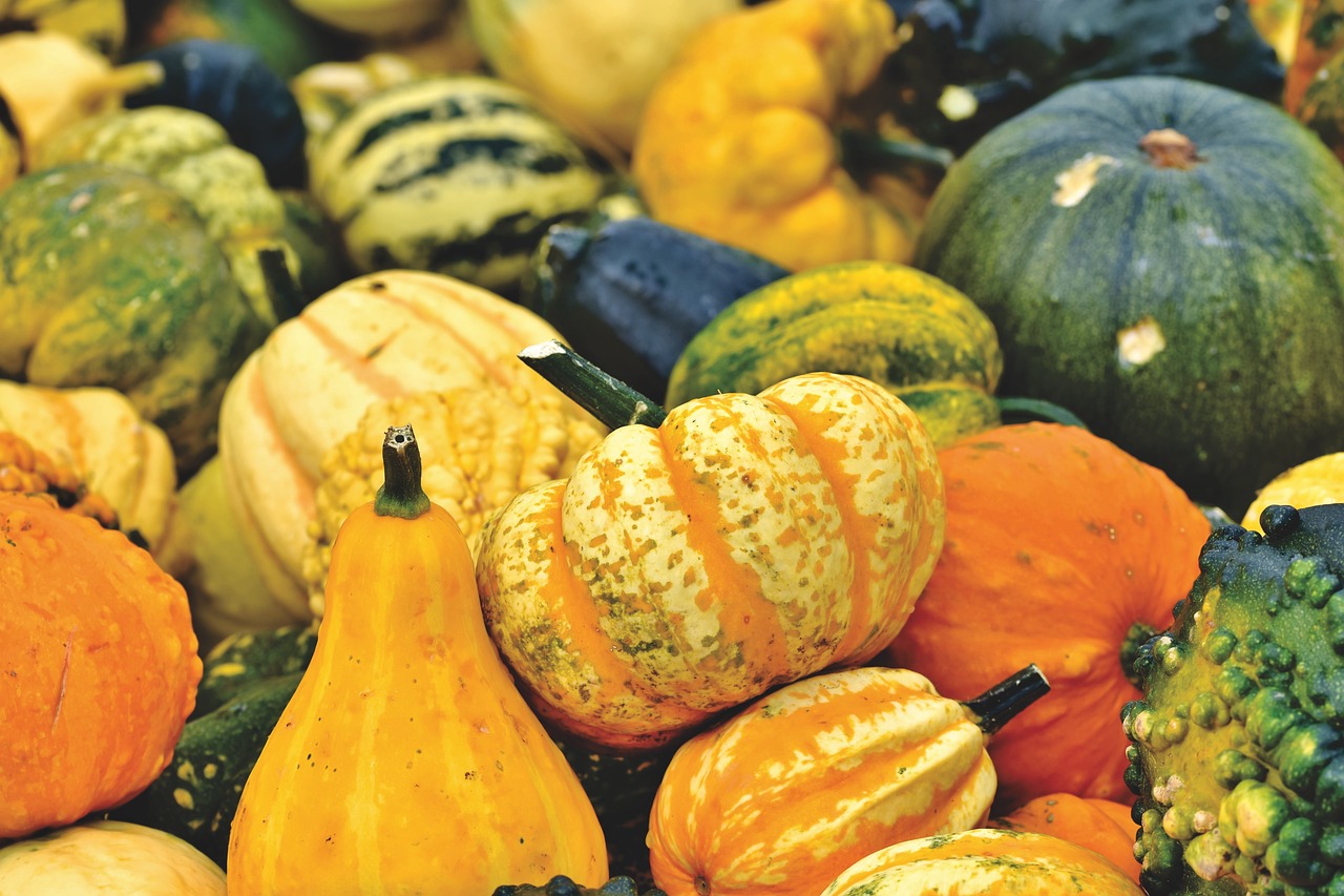 pumpkin, fruit, fall-4459053.jpg