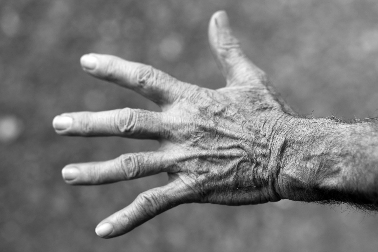 hand, old woman, wrinkles-351277.jpg